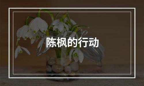 陈枫的行动
