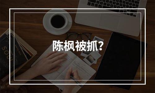 陈枫被抓？