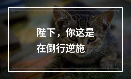 陛下，你这是在倒行逆施