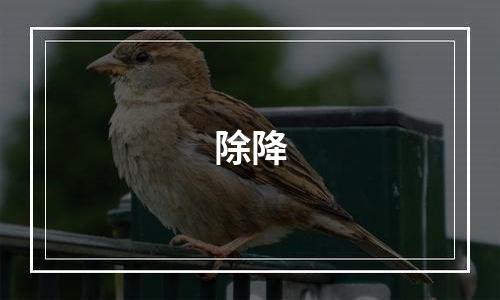 除降