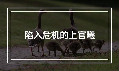 陷入危机的上官曦