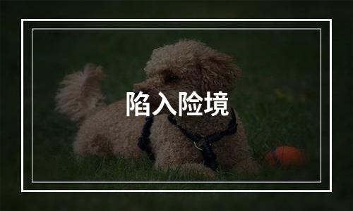 陷入险境