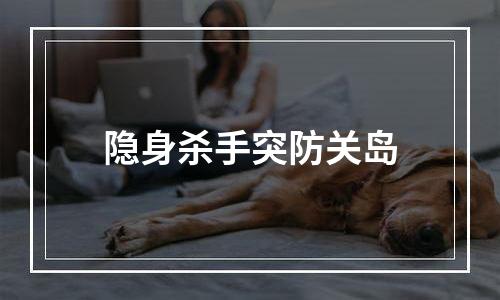 隐身杀手突防关岛