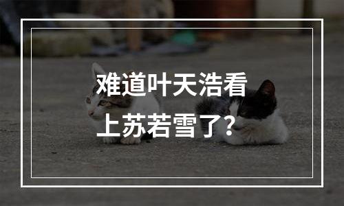 难道叶天浩看上苏若雪了？