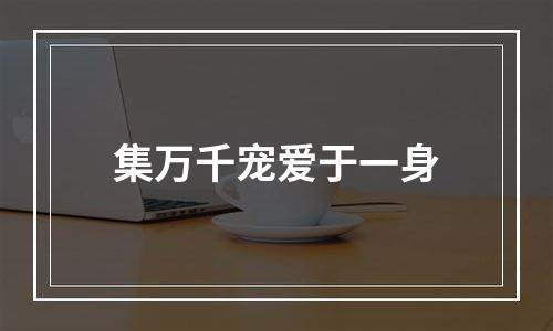 集万千宠爱于一身