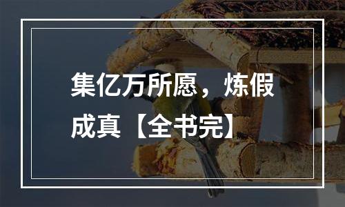 集亿万所愿，炼假成真【全书完】