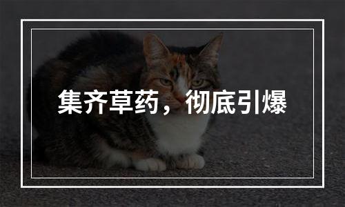 集齐草药，彻底引爆