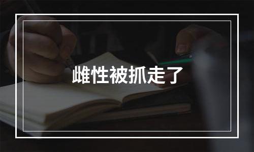 雌性被抓走了