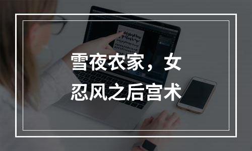 雪夜农家，女忍风之后宫术