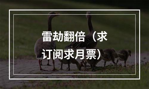 雷劫翻倍（求订阅求月票）