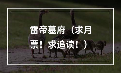 雷帝墓府（求月票！求追读！）