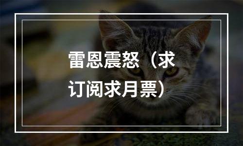雷恩震怒（求订阅求月票）