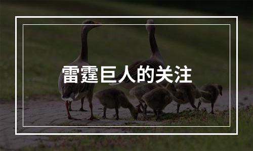 雷霆巨人的关注