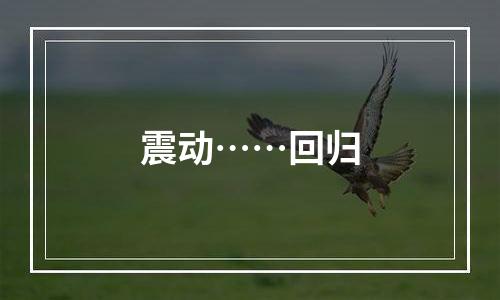 震动……回归