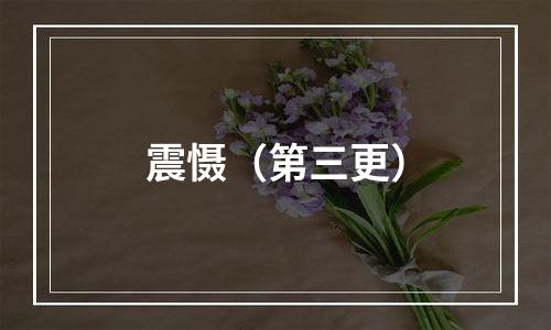 震慑（第三更）
