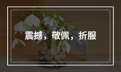 震撼，敬佩，折服