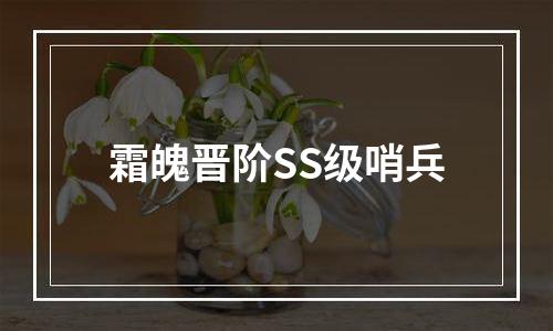霜魄晋阶SS级哨兵