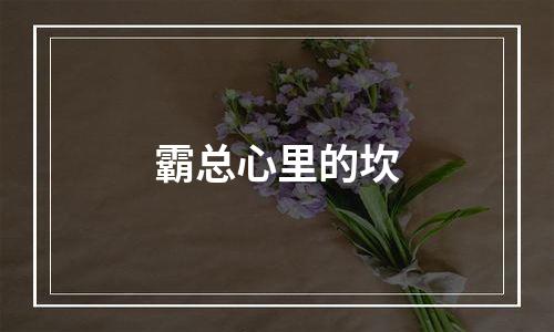 霸总心里的坎