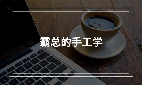 霸总的手工学