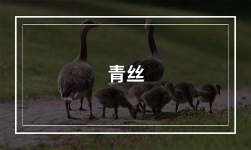 青丝