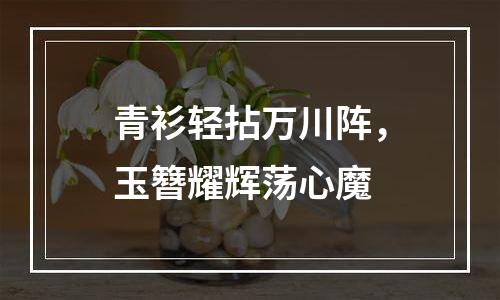 青衫轻拈万川阵，玉簪耀辉荡心魔