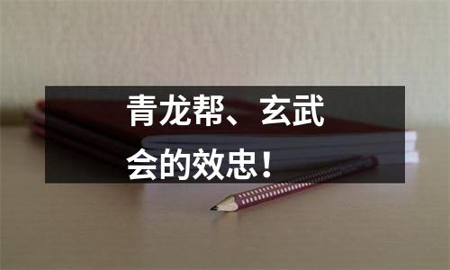 青龙帮、玄武会的效忠！
