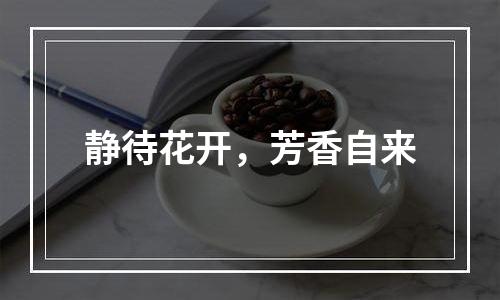 静待花开，芳香自来