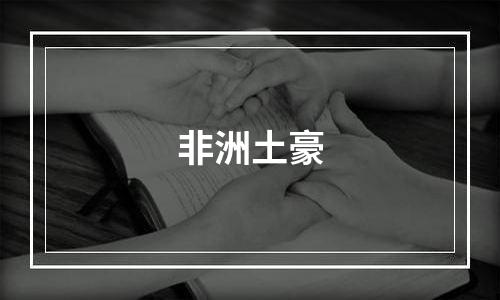 非洲土豪