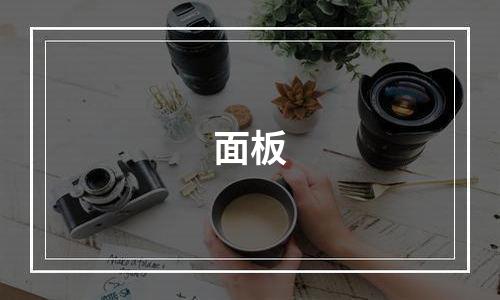面板