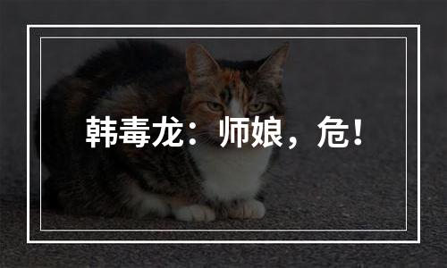 韩毒龙：师娘，危！