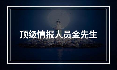 顶级情报人员金先生