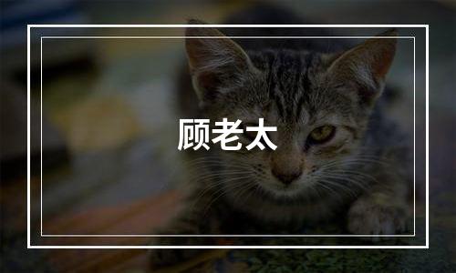 顾老太