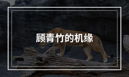 顾青竹的机缘