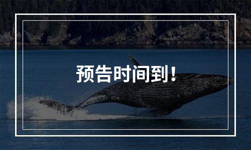 预告时间到！
