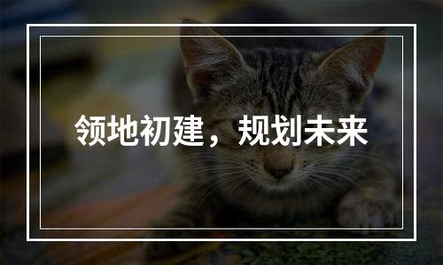 领地初建，规划未来