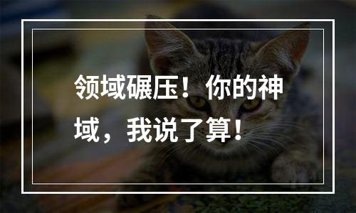 领域碾压！你的神域，我说了算！
