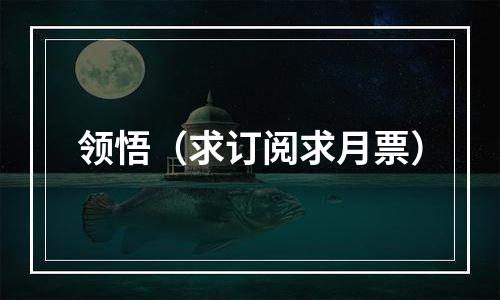 领悟（求订阅求月票）