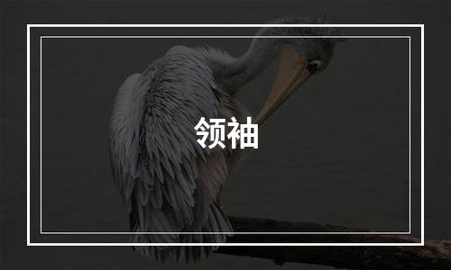 领袖