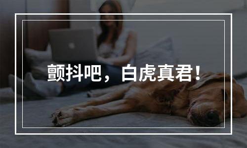 颤抖吧，白虎真君！