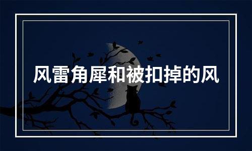 风雷角犀和被扣掉的风
