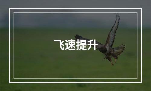飞速提升