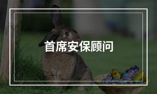 首席安保顾问