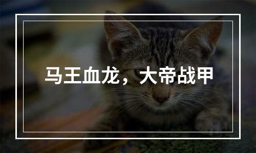 马王血龙，大帝战甲