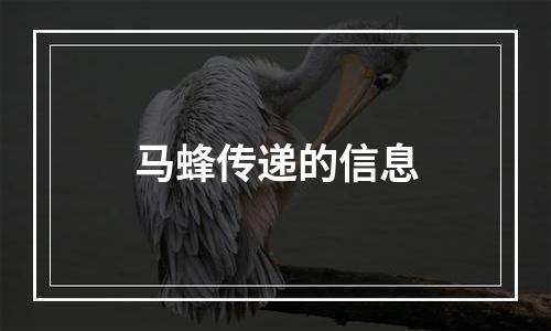 马蜂传递的信息