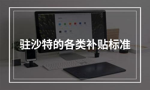 驻沙特的各类补贴标准