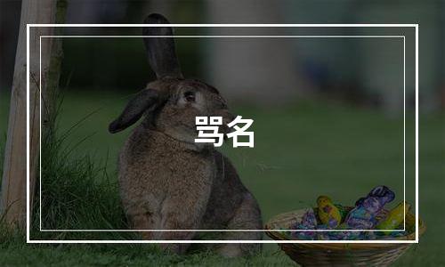 骂名