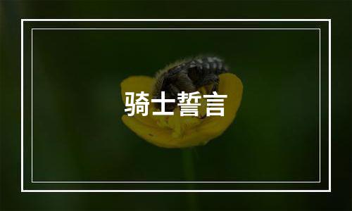 骑士誓言