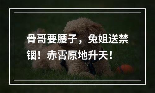 骨哥要腰子，兔姐送禁锢！赤霄原地升天！