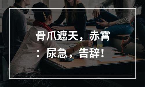 骨爪遮天，赤霄：尿急，告辞！