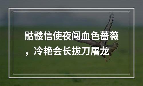 骷髅信使夜闯血色蔷薇，冷艳会长拔刀屠龙